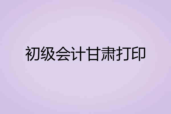 初级会计甘肃打印