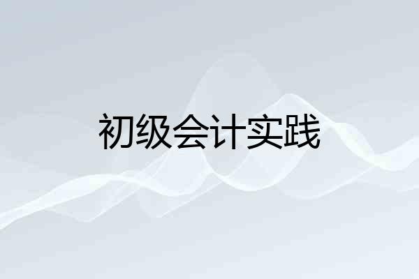 初级会计实践