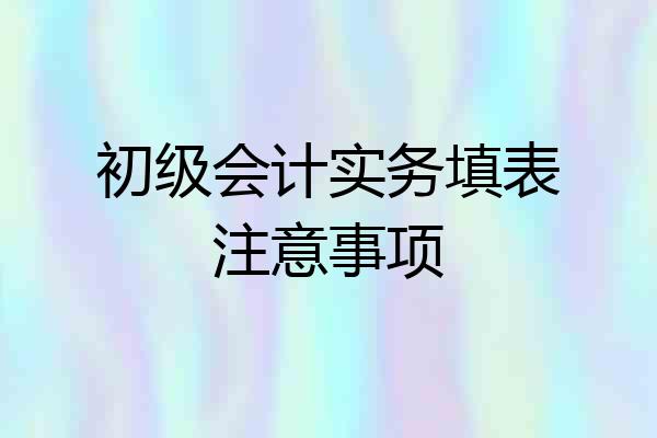 初级会计实务填表注意事项