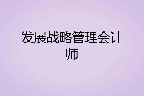 发展战略管理会计师