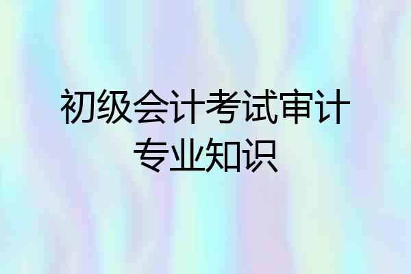 初级会计考试审计专业知识