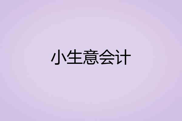 小生意会计