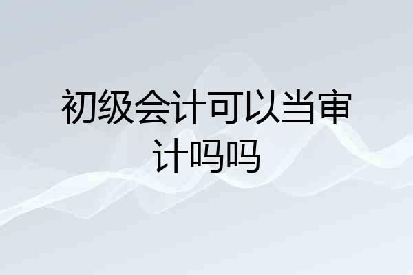 初级会计可以当审计吗吗
