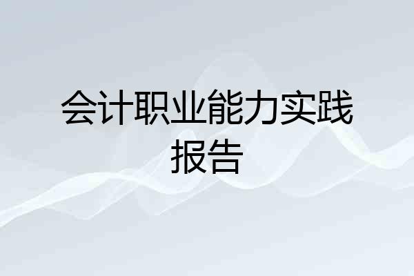 会计职业能力实践报告