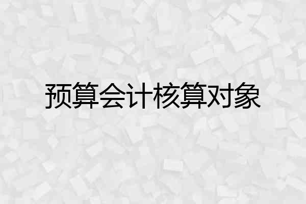 预算会计核算对象