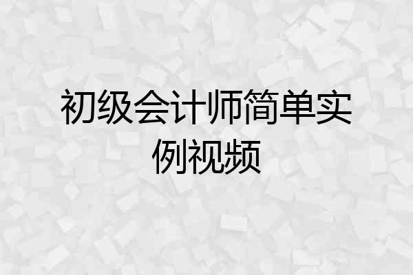 初级会计师简单实例视频