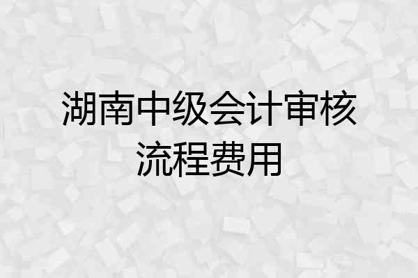 湖南中级会计审核流程费用