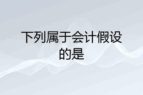 下列属于会计假设的是