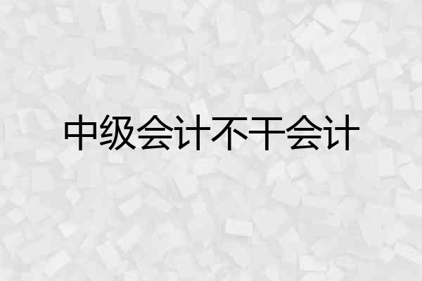 中级会计不干会计