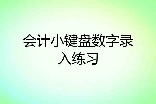 会计小键盘数字录入练习