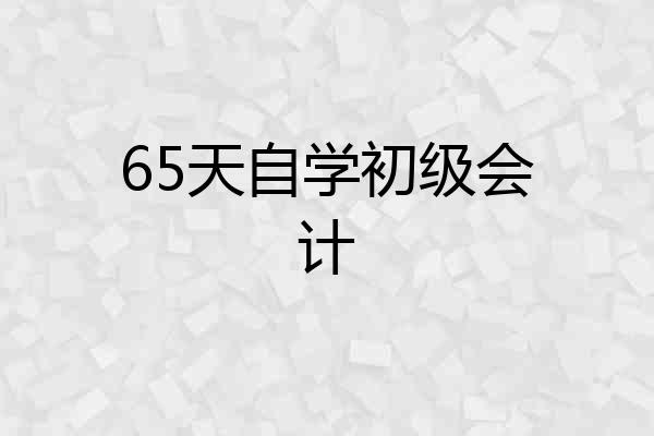 65天自学初级会计