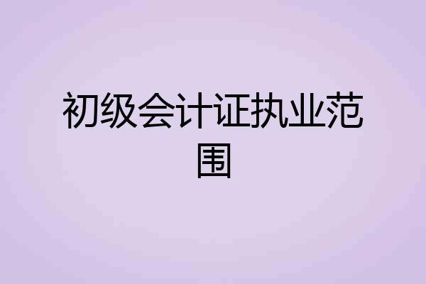 初级会计证执业范围