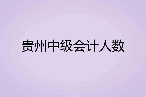 贵州中级会计人数