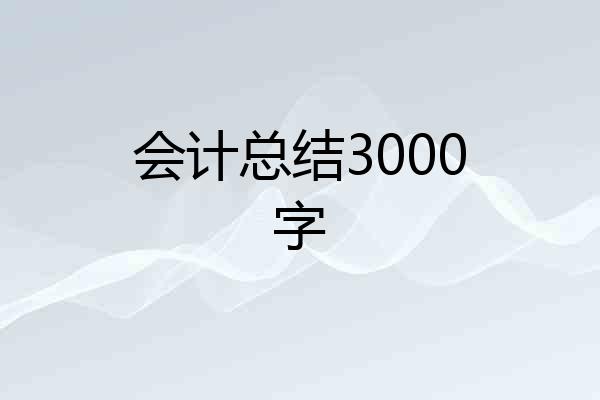 会计总结3000字
