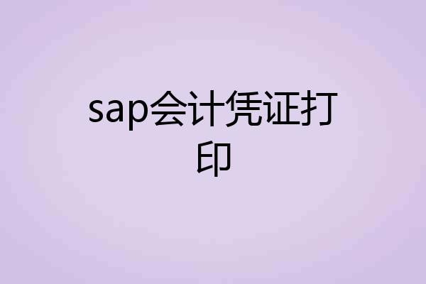 sap会计凭证打印