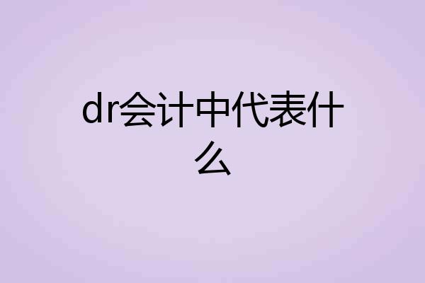 dr会计中代表什么