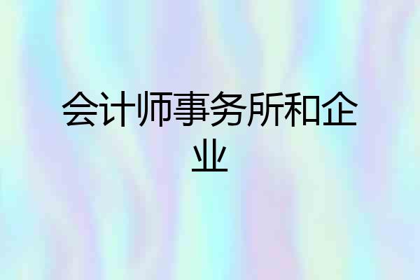 会计师事务所和企业