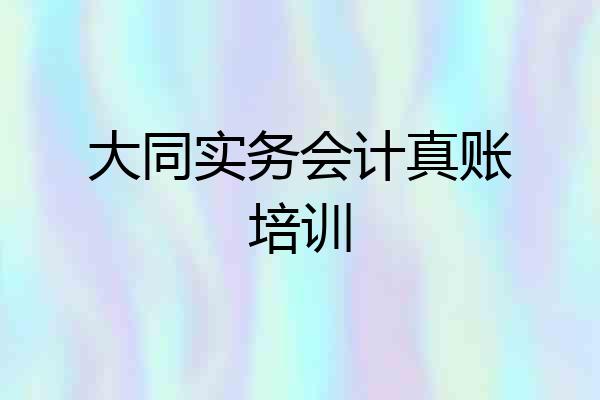 大同实务会计真账培训