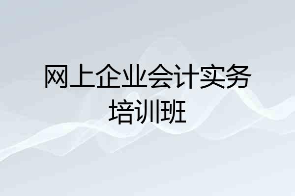 网上企业会计实务培训班