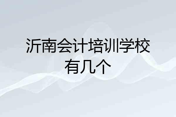 沂南会计培训学校有几个