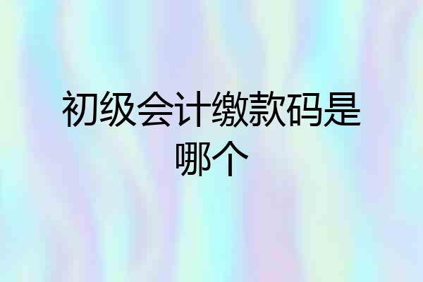 初级会计缴款码是哪个