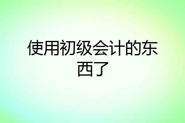 使用初级会计的东西了