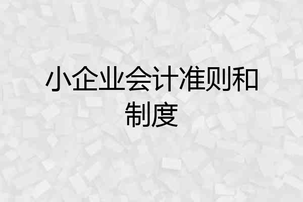 小企业会计准则和制度