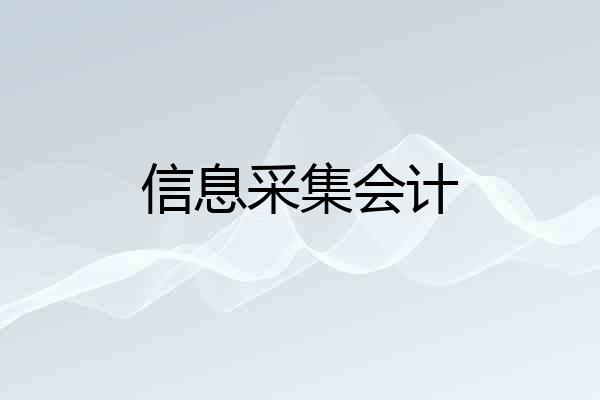 信息采集会计
