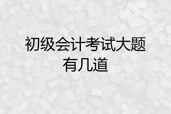 初级会计考试大题有几道