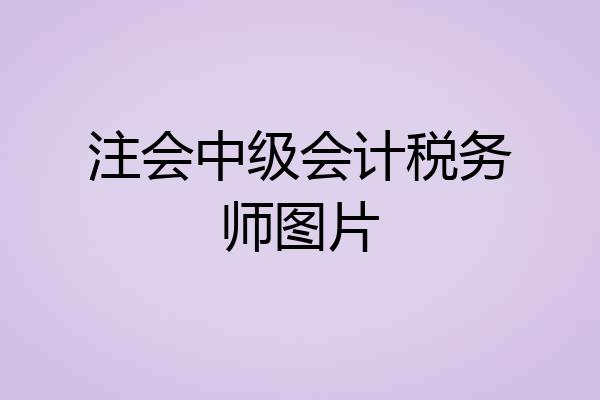 注会中级会计税务师图片