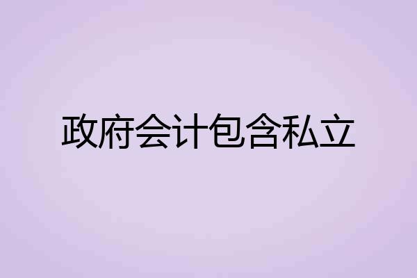 政府会计包含私立