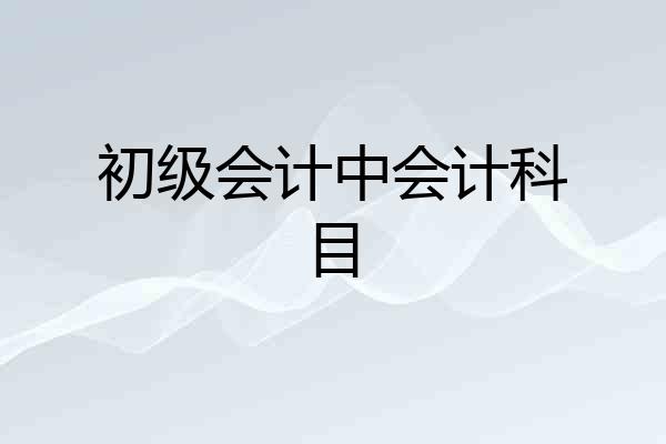 初级会计中会计科目