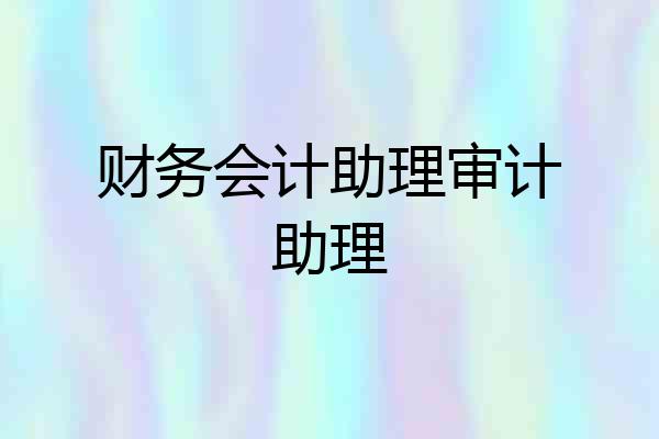 财务会计助理审计助理