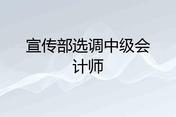 宣传部选调中级会计师