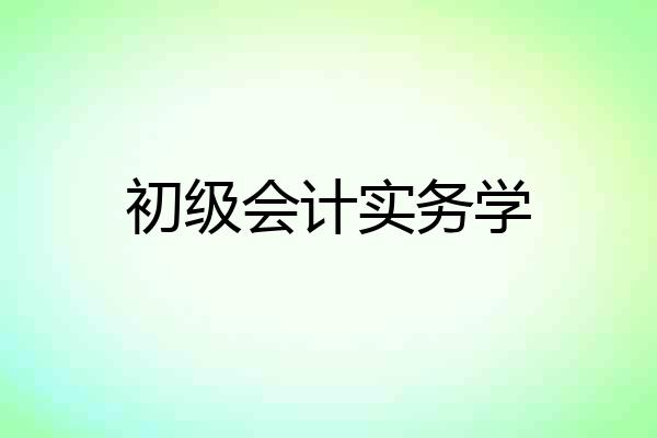 初级会计实务学