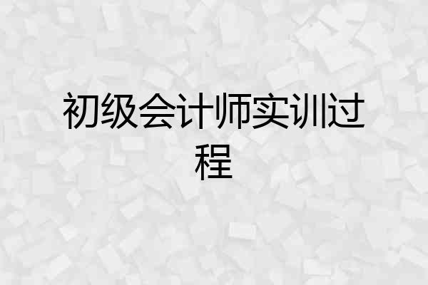 初级会计师实训过程