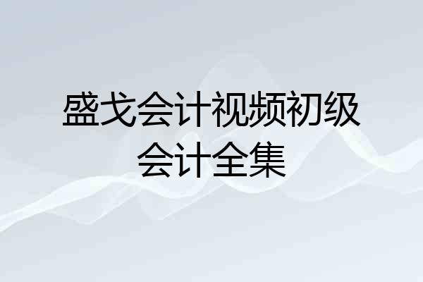 盛戈会计视频初级会计全集