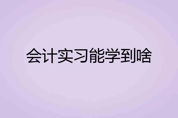 会计实习能学到啥