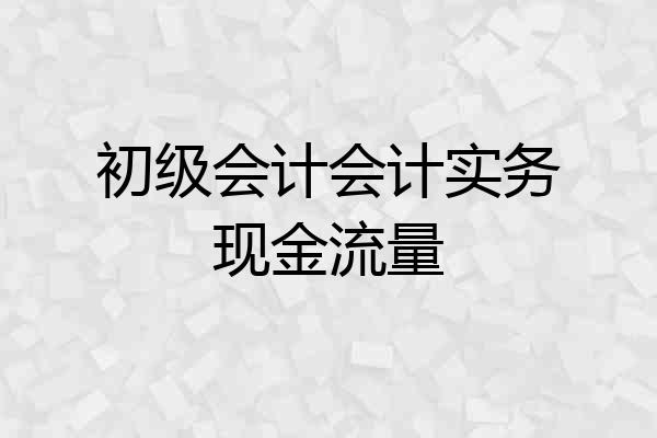 初级会计会计实务现金流量