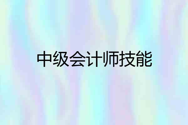 中级会计师技能