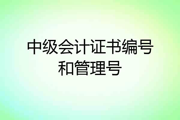 中级会计证书编号和管理号