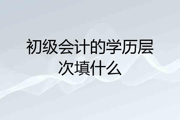 初级会计的学历层次填什么
