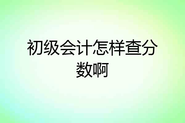 初级会计怎样查分数啊