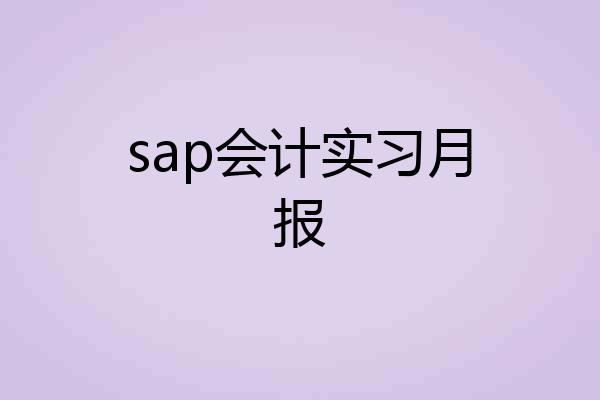 sap会计实习月报