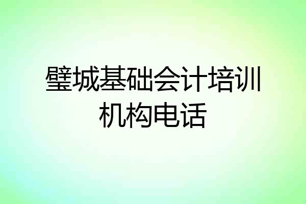 璧城基础会计培训机构电话