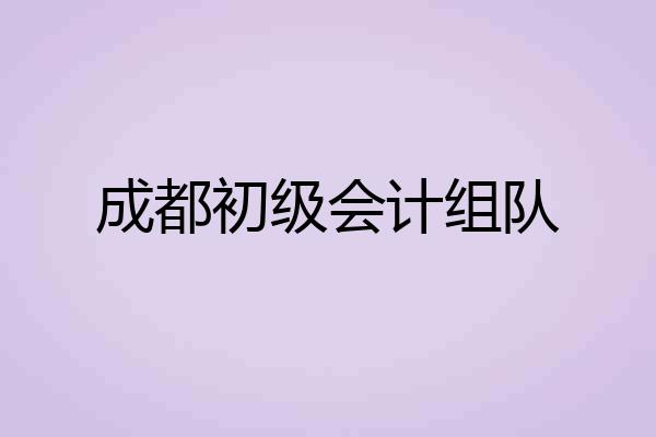 成都初级会计组队