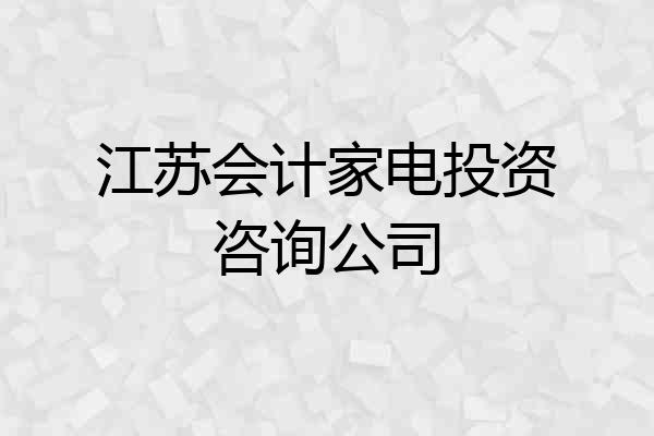 江苏会计家电投资咨询公司
