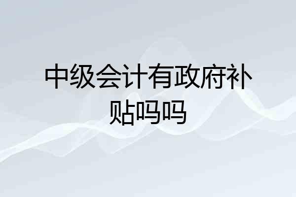 中级会计有政府补贴吗吗