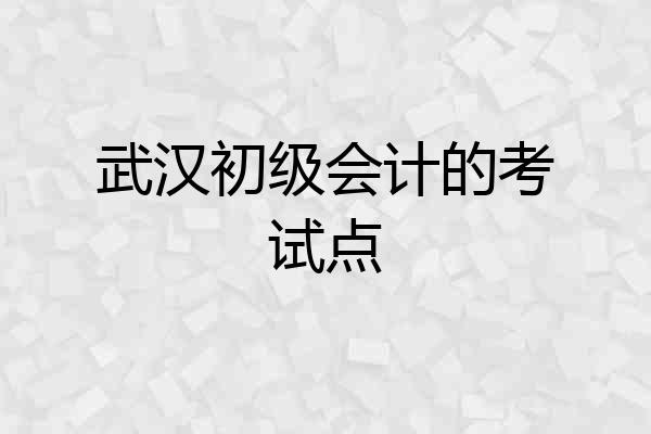 武汉初级会计的考试点