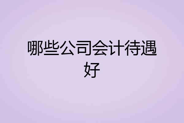 哪些公司会计待遇好